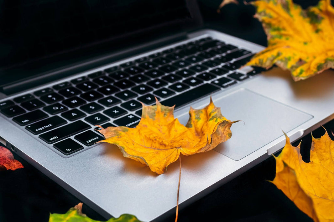 Fall Marketing Slogans